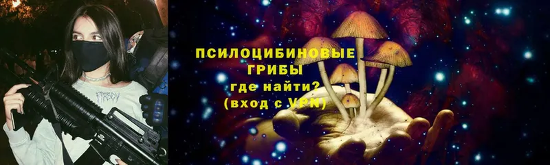 где купить наркоту  Горняк  Галлюциногенные грибы Psilocybe 